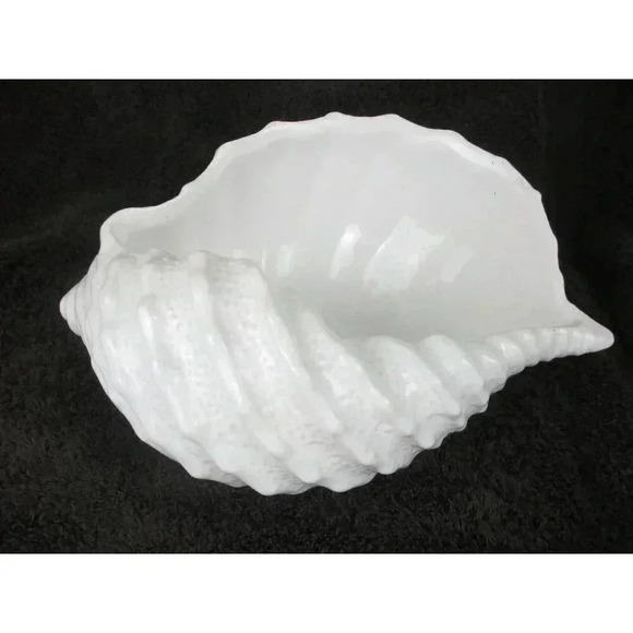 Marine Shell Vase, Seashell, Coastal Planter white Flower planter midcentury - Picture 1 of 4